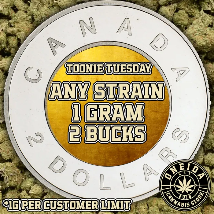 Toonie Tuesdays!